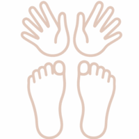 7 7